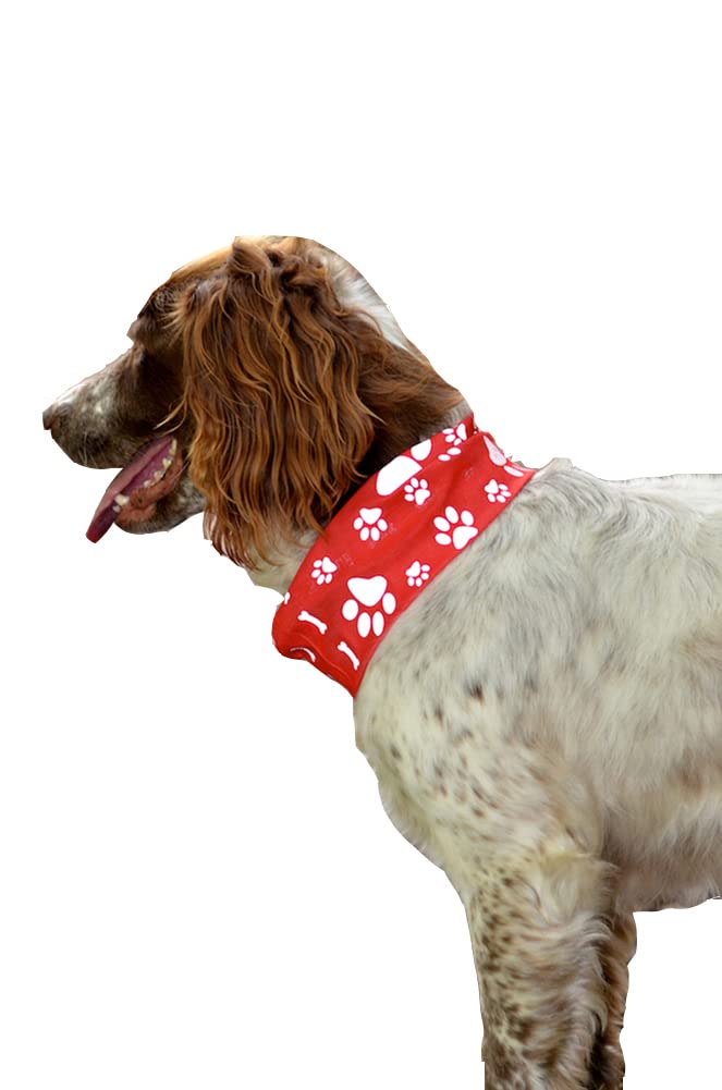 Ruffnek REFLECTIVE RED PAW & BONE PRINT TUBE SCARF/BANDANA/SNOOD FOR YOUR DOG - BE SAFE, BE SEEN