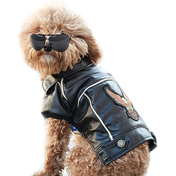 Pequeño/medio perro mascota de lujo chaqueta de cuero para perro  otoño/invierno águila Chihuahua perro gato perrito chaleco ropa  traje|jacket varsity|jacket storecoat cardigan - AliExpress