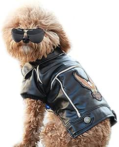 dog harley jacket