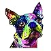 Enjoy It Dean Russo Boston Terrier Car Stickers, Outdoor Rated Vinyl Sticker Decals for Windows, Bumpers, Laptops or Crafts - 2 Pieces