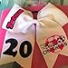 Kenz Laurenz Cheer Bows White Cheerleading Softball - Gifts for Girls and Women Team Bow with Ponytail Holder Complete your Cheerleader Outfit Uniform Strong Hair Ties Bands Elastics (1)