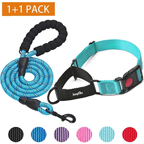 haapaw 2 Packs Martingale Dog Collar with Quick Release Buckle Reflective Dog Training Collars for Small Medium Large Dogs (Collar+Leash, L Neck 17″-21″, Turquoise+Turquoise, 2 Packs)