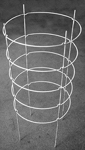 EZGrow TC-4-2 The Big EZ Heavy Duty Folding Tomato Cage & Plant Support, 2-Pack Silver