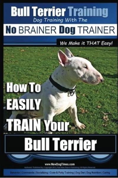 bull terrier training