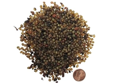 SUPERWURM Regenwurmkokons 1000 Stück, Kompostwürmer, Gartenwürmer