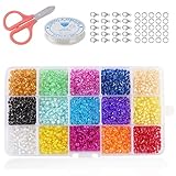 Phogary 9000pcs Glass Seed Beads, Mixed Colors Small Pony Beads Assorted Kit Multi Colors Lustered Loose Spacer Beads, 3mm Round, Hole 1.0mm for Jewelry Making, DIY Crafting (15 Colors)