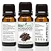 Biofinest Agarwood (Oud) Essential Oil - 100% Pure Therapeutic Grade - Best For Aromatherapy - For Meditation, Spiritual Tranquility - FREE E-Book (10ml)
