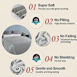 EASELAND Soft Queen Size Blanket Warm Microplush