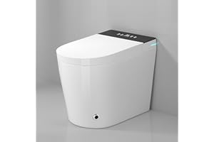 WinZo 10" Rough-in Smart Toilet with Bidet for Small Bathroom, Auto Flush, LED Night Light, Heated Bidet with Warm Air Drying