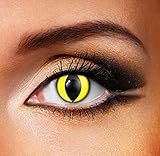 Women Multi-Color Cute Charm and Attractive Fashion Contact Lenses Cosmetic Makeup Eye Shadow Yellow Cat Eye 2 with case by Dream TM