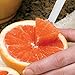Rada Cutlery Grapefruit Knife Stainless Steel Serrated Blade With Aluminum Made in the USA, 7 Inch, Silver handle