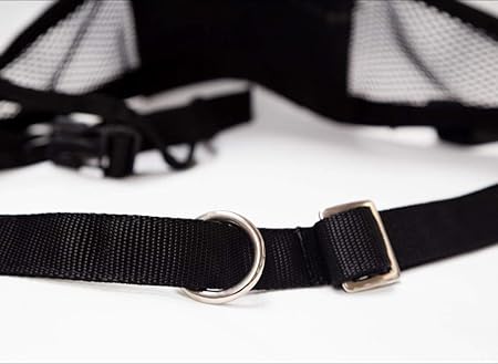 neewa canicross belt