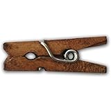 LWR Crafts Wooden Mini Clothespins 100 Per Pack 1" 2.5cm (Jacobean)