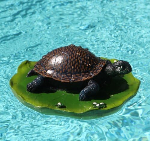 Brown Shell Turtle Floater On A Lily Pad