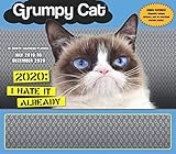 Grumpy Cat 2020 Calendar Family Planner Organizer with Magnetic Hanger, Storage Pocket and Stickers: by 