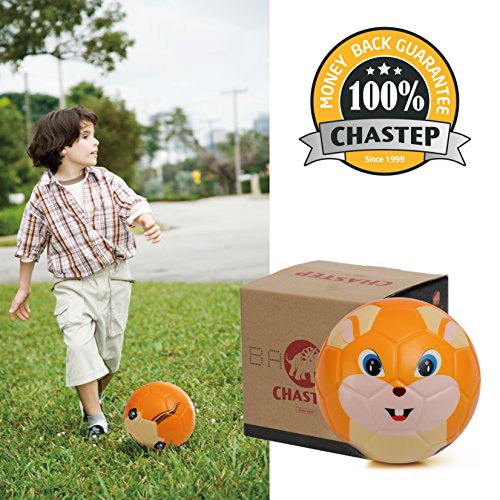 Chastep Soft Toy Ball, Mini Training Foam Soccer for Toddlers and Kids Gift - Chowhound Squirrel