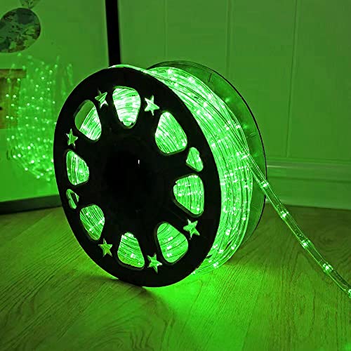DINGFU 360 LED Rope Lights