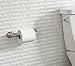 DELTA FAUCET 76450-SS Ashlyn Wall Mount Pivot Arm Toilet Paper Holder Bath Hardware Accessory in Stainless Steel