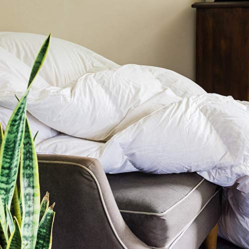 Cosmo Premium California King Down Comforter King Size 100 Egyptian