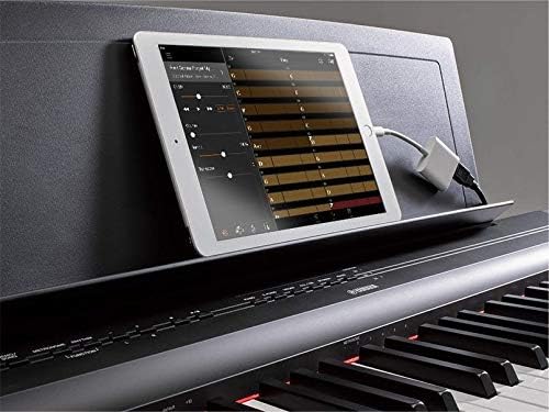 New Model Yamaha P121 Digital Stage Piano In Black Now With Double Xx Stand Bench Headphones Beginner S Book Cd Dvd Power Supply Music Rest Amazon Co Uk Musical Instruments