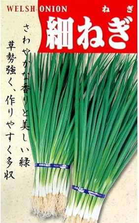 Amazon ネギ 種 細ねぎ 種子 小袋 約15ml 野菜