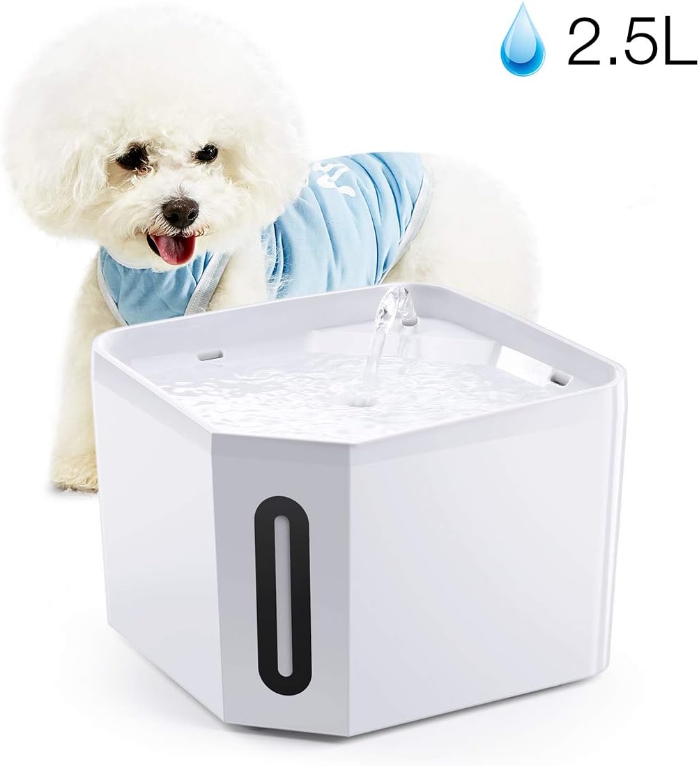 trinkbrunnen katze mit sensor