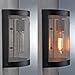 CLAXY® Ecopower Vintage Style Simplicity Wire Mesh Wall Sconce