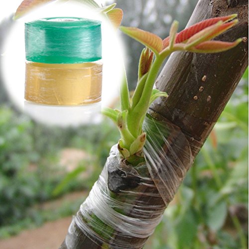 Kangnice 100M Nursery Stretchable Floral Grafting Repair Tape Adhesive Moisture Barrier Floristry Film (Green)