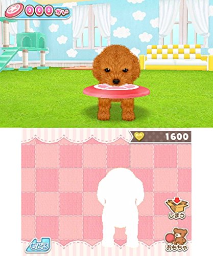 かわいいペットとくらそう わんニャン ミニミニアニマル 予約 最安値情報 3ds 種類混在で3匹まで同時に飼える 夢の飼い主体験 Daystar