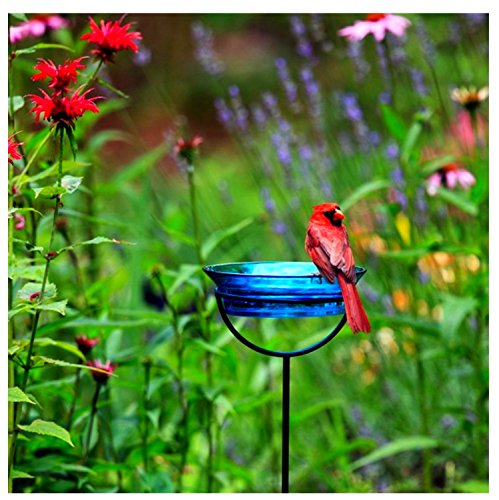 Mosaic Birds Cuban Garden Stake Bird Bath Feeder Birdseed Mealworm G465VM Recycled Glass Bowl Container with Adjustable Height Stake - Clear
