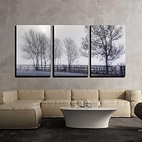 3 Piece Canvas Wall Art - Sun Shrouded in Fog Rises on a Frosty Morning. - Modern Home Art Stretched and Framed Ready to Hang - 16"x24"x3 Panels