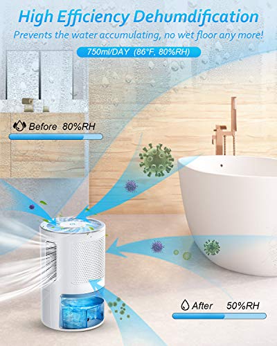 2 LONOVE+Dehumidifiers+Home+Basements+Dehumidifier