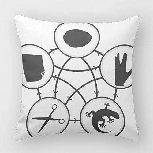 Big Bang Theory Throw Pillow Case Sofa Pillow Case Cover