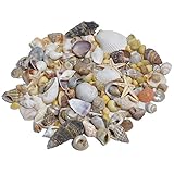 Tiny Starfish and Seashells for Miniature Garden, Fairy Garden