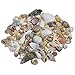 Tiny Starfish and Seashells for Miniature Garden, Fairy Garden