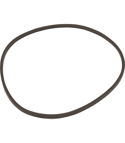 Amazon.com: Pentair 154493 O- Ring Closure for Triton Filter
