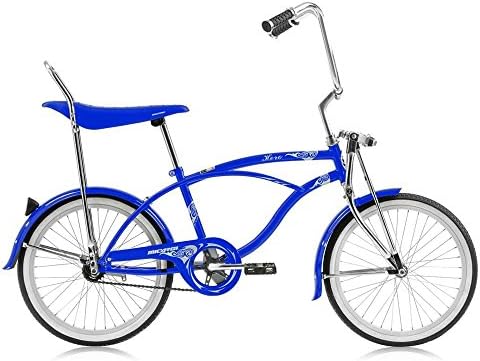 20 In. Beach Cruiser In Blue and Alloy Finish