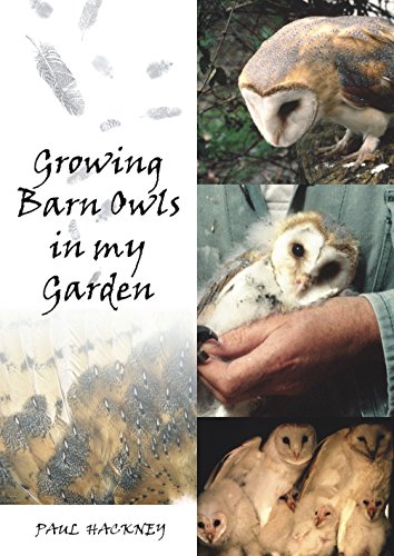 Growing Barn Owls In My Garden Paul Hackney Amazon Com