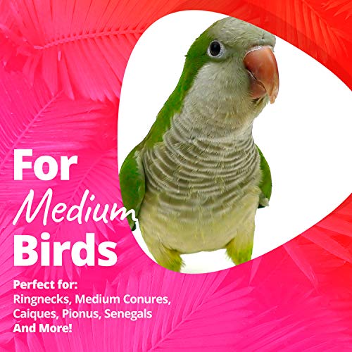 2 Super+Bird+Creations+5+Inch+Foraging