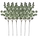 VGIA 6Pcs Artificial Silver Dollar Eucalyptus Leaf Spray in Green Tall Artificial Greenery Holiday Greens Christmas Greenery