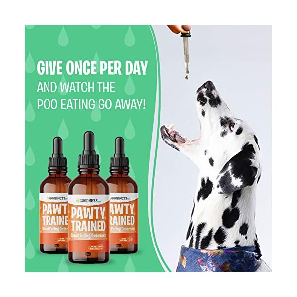 Coprophagia Treatment for Dogs Dog Stool Eating Deterrent Herbal Poop Eating Deterrent for