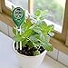 Soil PH Meter Soil Moisture Sensor 3-in-1 Soil Moisture/Light/pH Test Kit for Indoor/Outdoor Plants Care(No Battery Needed)thumb 4