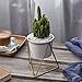 NCYP Geometric Iron Rack Holder Metal Stand Gold with White Ceramic Planter Indoor Desktop Garden Pot for Succulents Herbs Cactus Modern Style Window Sill Decorative Bonsai ( NO Plants )
