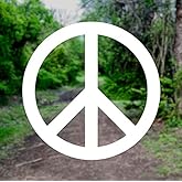 Peace Sign Symbol [Pick Any Color] Vinyl Transfer Sticker Decal for Laptop/Car/Truck/Window/Bumper (3in x 3in, White)