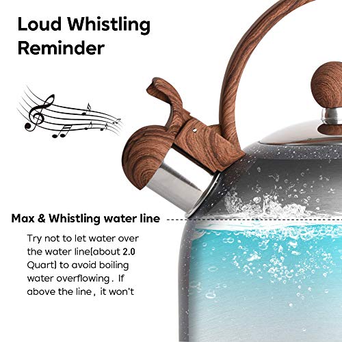Tea Kettle VONIKI 2.5 Quart Tea Kettles Stovetop Whistling Teapot