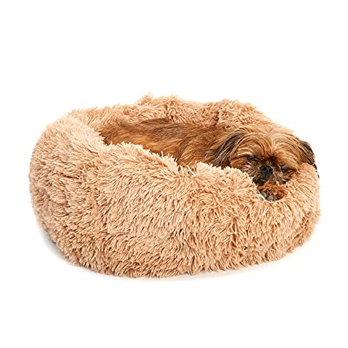toy dog beds