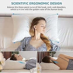 NEIPOTA Bed Pillows for Sleeping Queen Size Set of