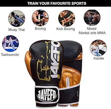 warrior boxing gloves