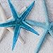 Nautical Shower Curtain, Marine Sail Boat Beach Starfish Shell Sea Life Shower Curtain with 12 Hooks, Waterproof Shower Curtain (White Blue #1, 70