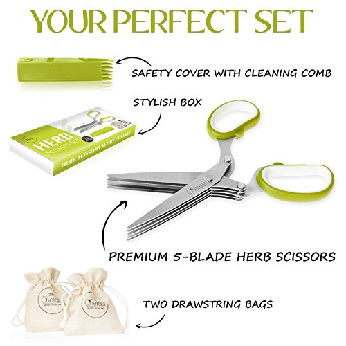 Home & Kitchen, Kitchen & Dining, Cutlery & Knife Accessories, Shears